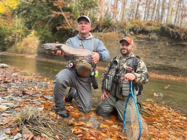 Fish on the Fly