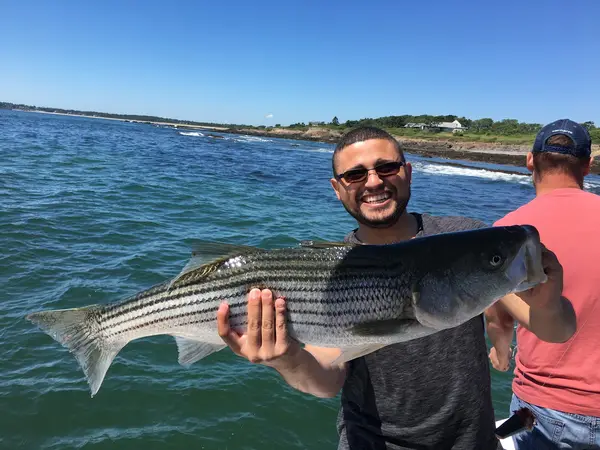 Fish Portland Maine Saltwater Charters, South Portland, ME