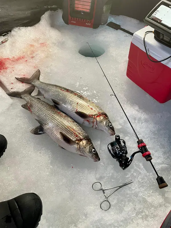 Fishcrazy Guide Service, photo 3