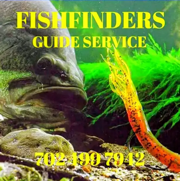 FishFinders Guide Service - Lake Mead Fishing Charters - Las Vegas Fishing Guides