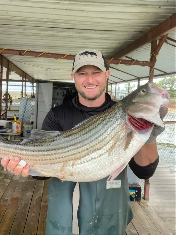 Fishin Texoma Striper Guides