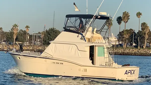 Fishing Charters Of San Diego, San Diego, CA