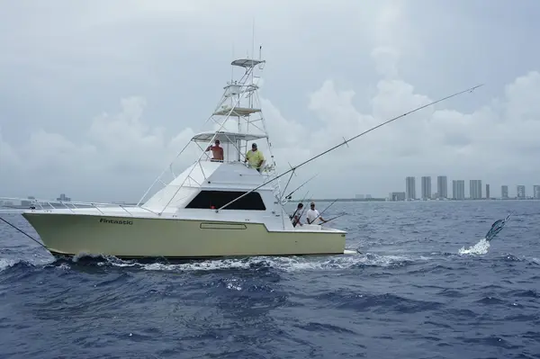 Fishing Fintastic Charters