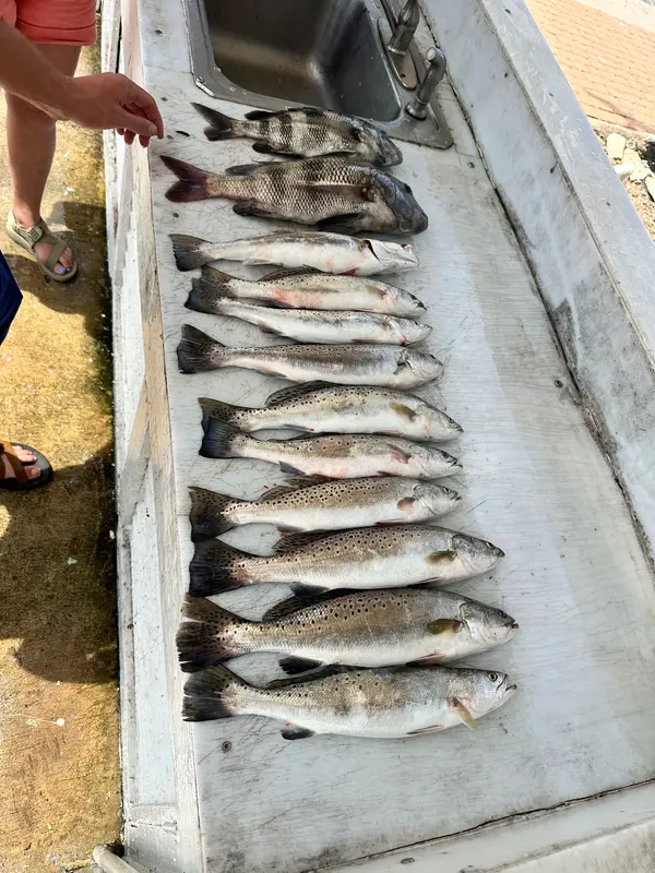 Fishing Galveston TX, Galveston, TX