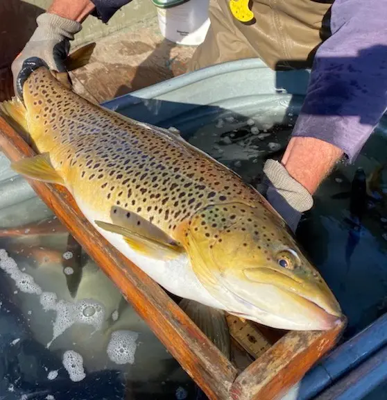 Fishing Quiet Waters LLC
