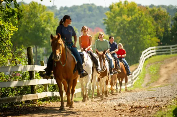 Five Oaks Riding Stables, Sevierville, TN
