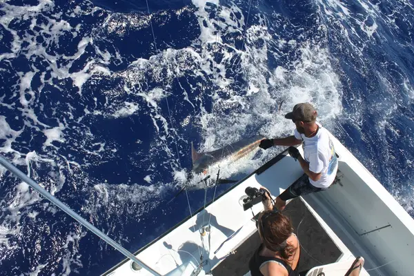 Five Star Sportfishing Hawaii, Honolulu, HI