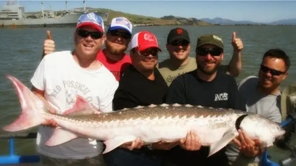 Flash Sport Fishing Charters, San Francisco, CA