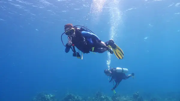 Flatirons Scuba & Travel