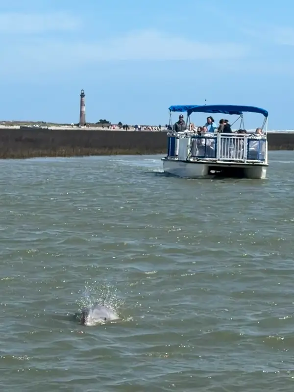 Flipper Finders Boat Tours, Folly Beach, SC