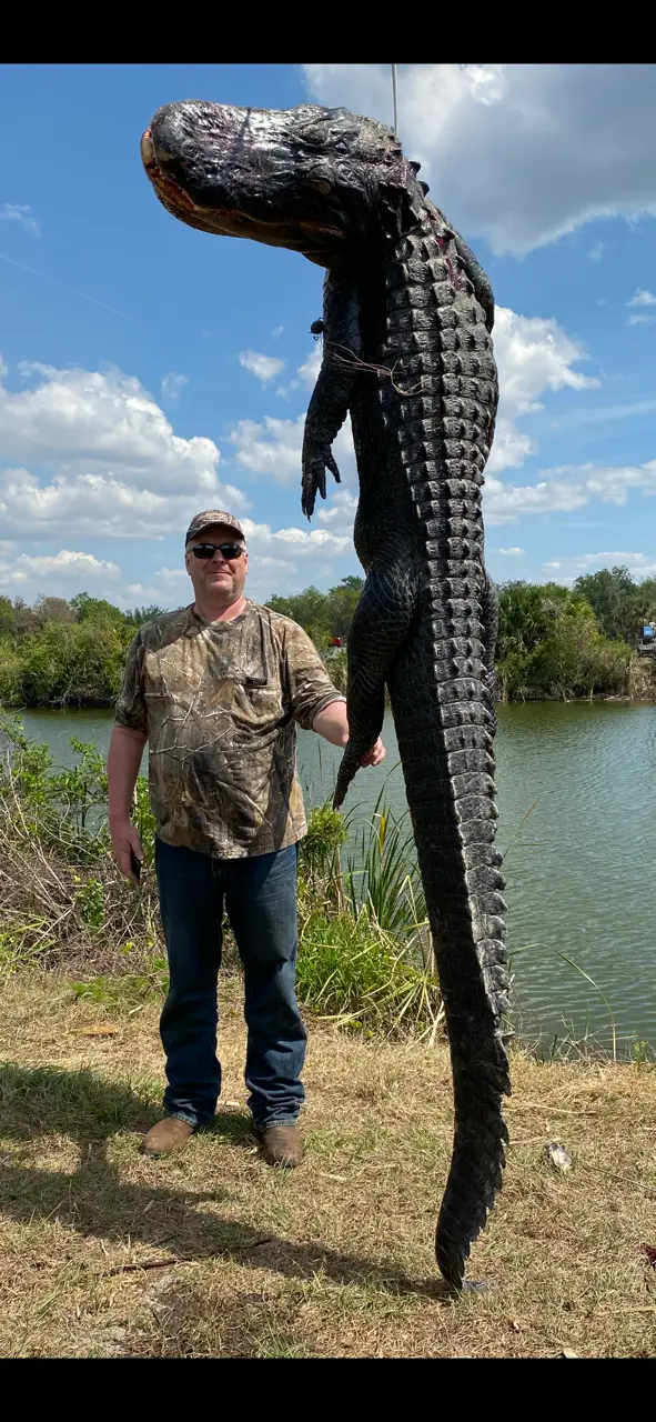 Florida hog hunting