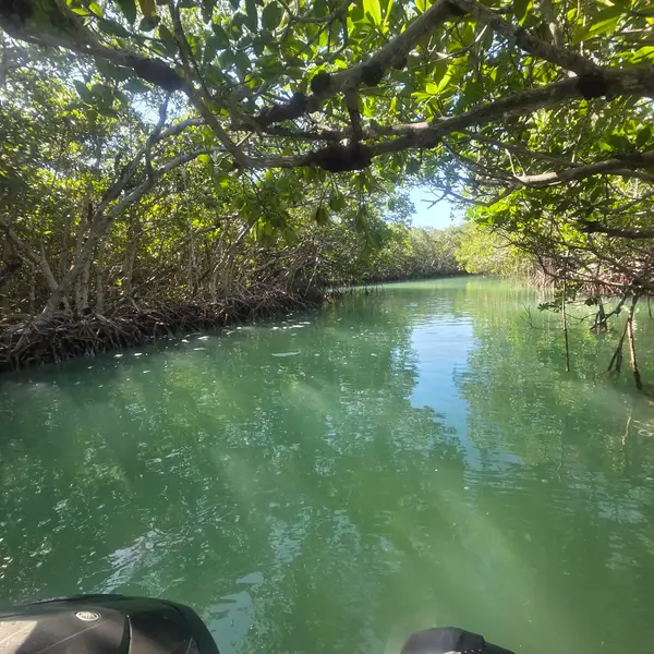 Florida Keys Kayak and Ski, photo 1