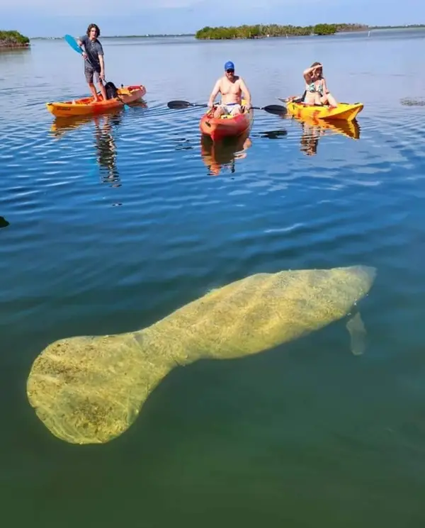 Florida Keys Kayak & Paddle Board, Marathon, FL