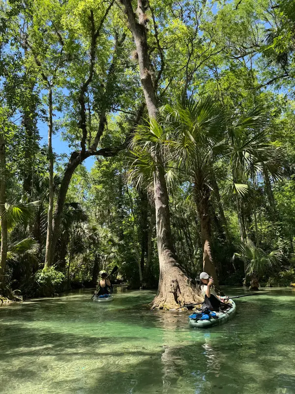Florida Paddle Excursions, photo 2