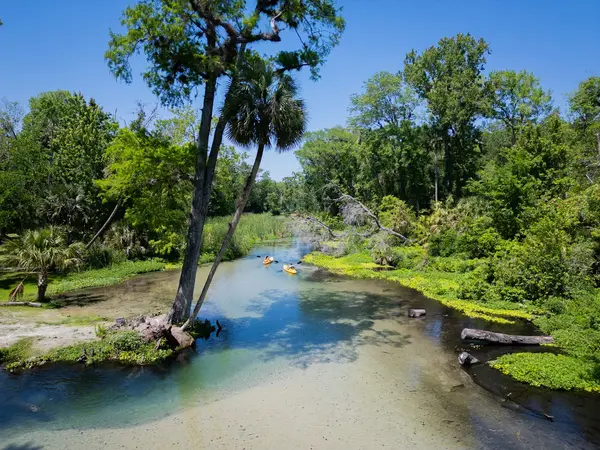 Florida Paddle Excursions, photo 3