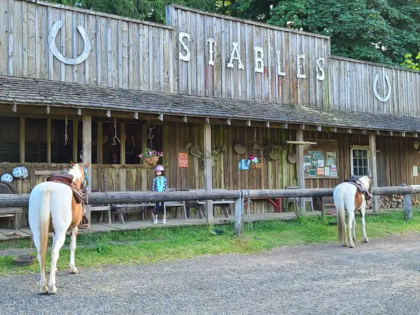 Flying M Ranch