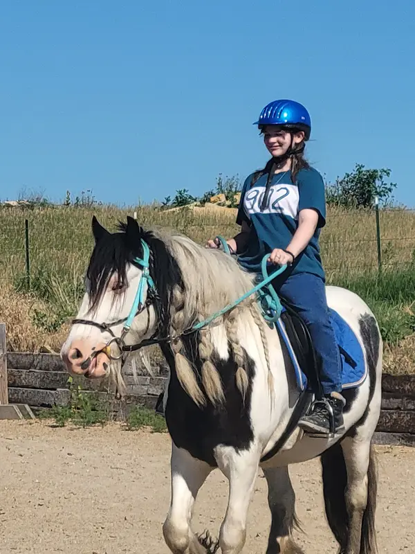 Flynt Hylls Gypsy Horses