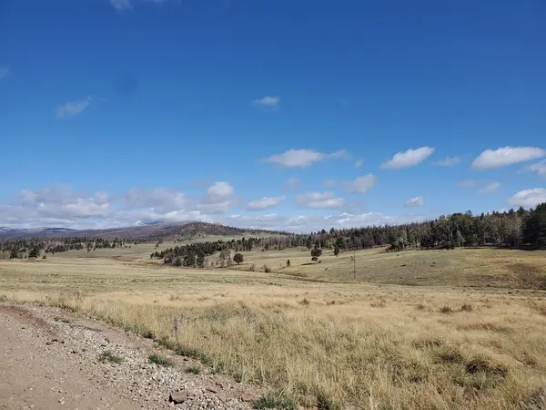 Forbes Park