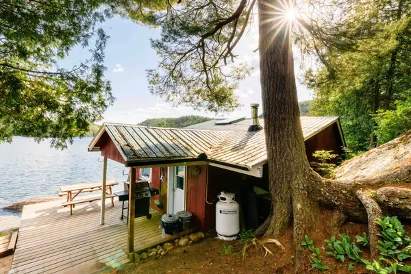 Forêt Baera, photo 2
