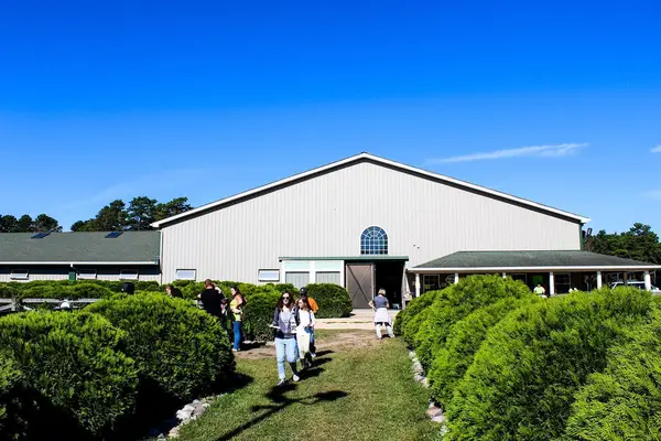 Forest Edge Farm