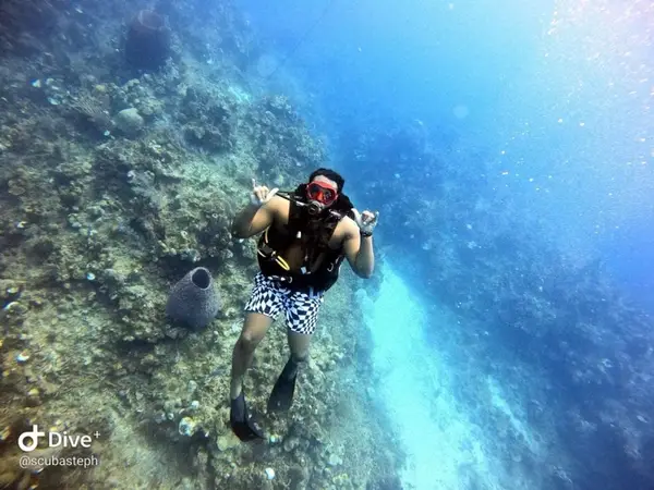 ForeverScubaDiving