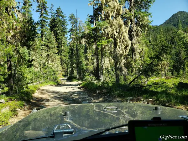 Fortune Creek 4x4 Trail