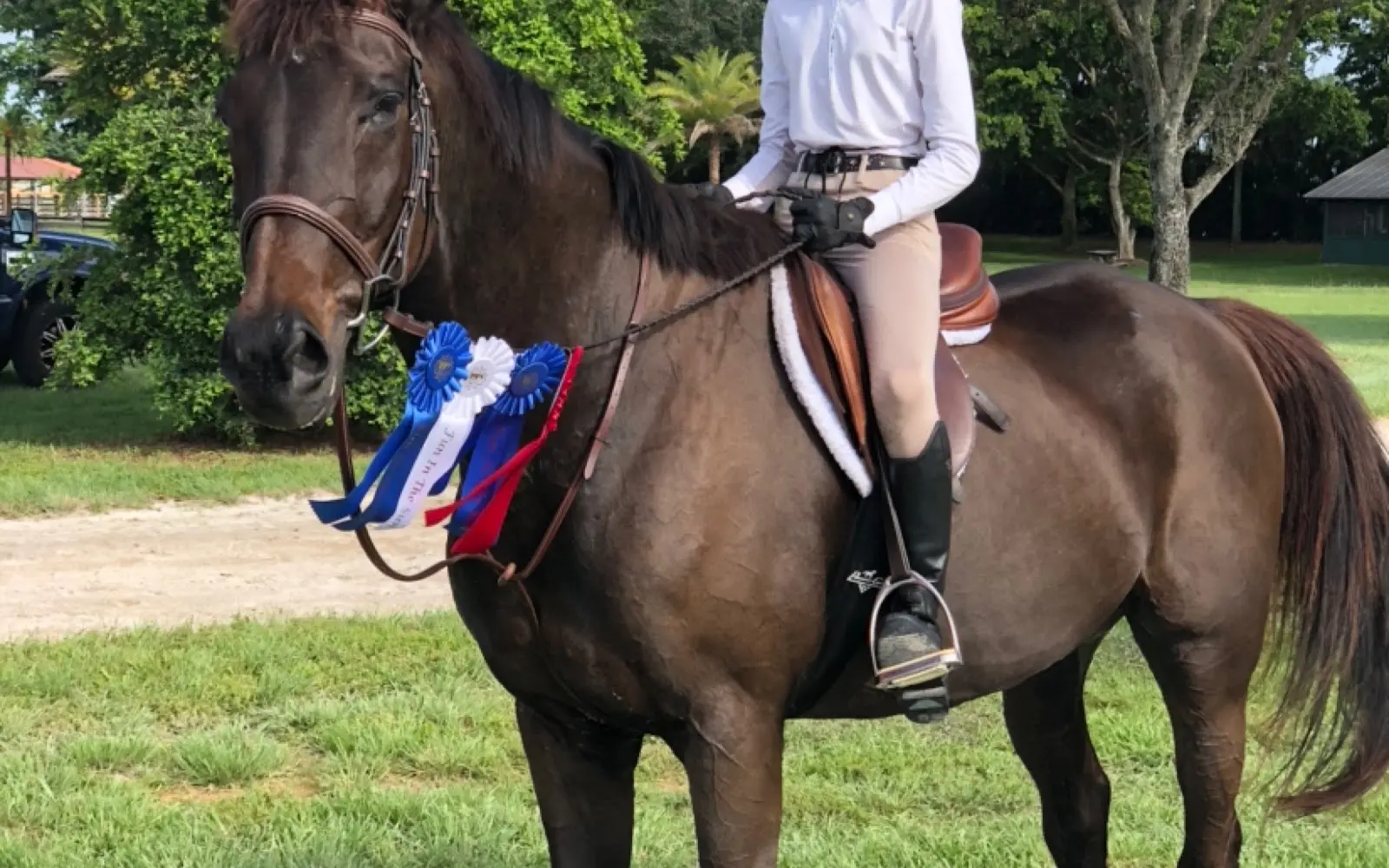 Four Gs Equestrian