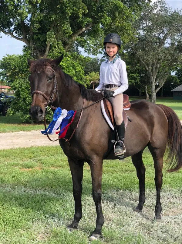 Four Gs Equestrian