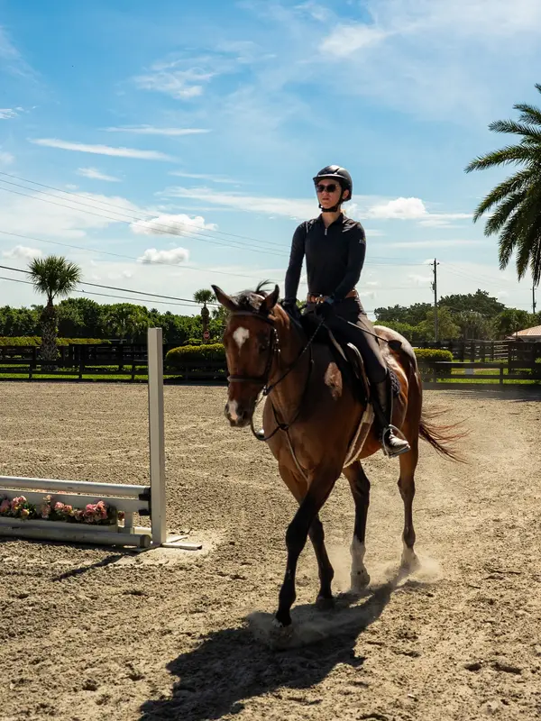 Four Gs Equestrian, photo 2