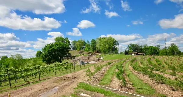 Four Seasons Farm, Leon, WV