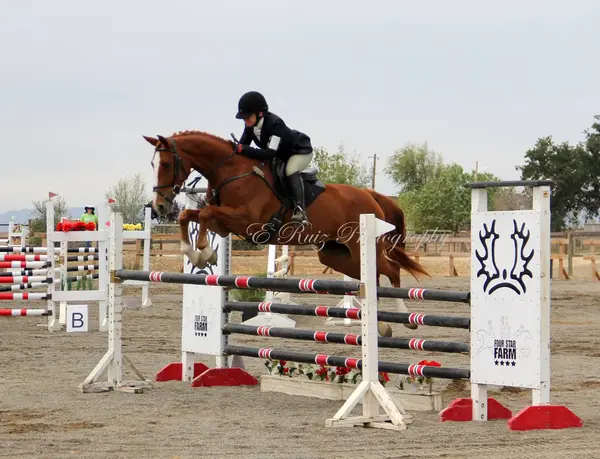 Four Star Farm, photo 4