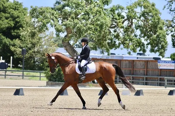 Four Star Farm, photo 1