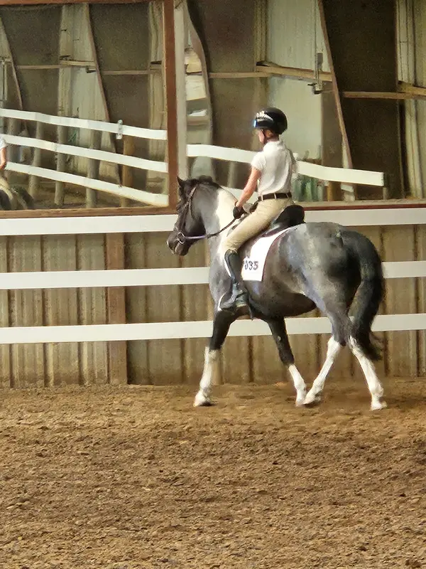 Four Star Farm, photo 3
