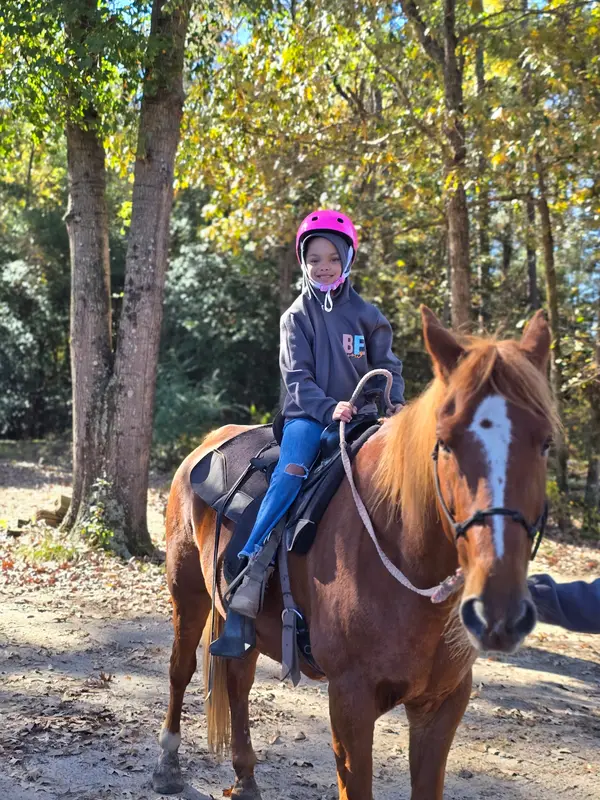 Fourth Rock Stables