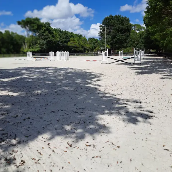 Fox Ridge South Florida, photo 2