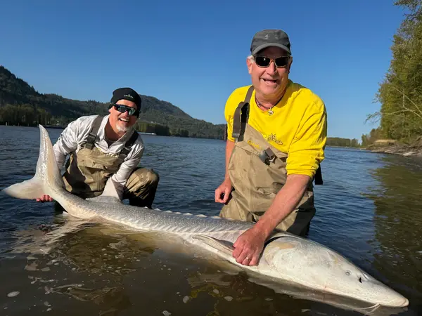 Fraser River Monsters Fishing Adventures, photo 3