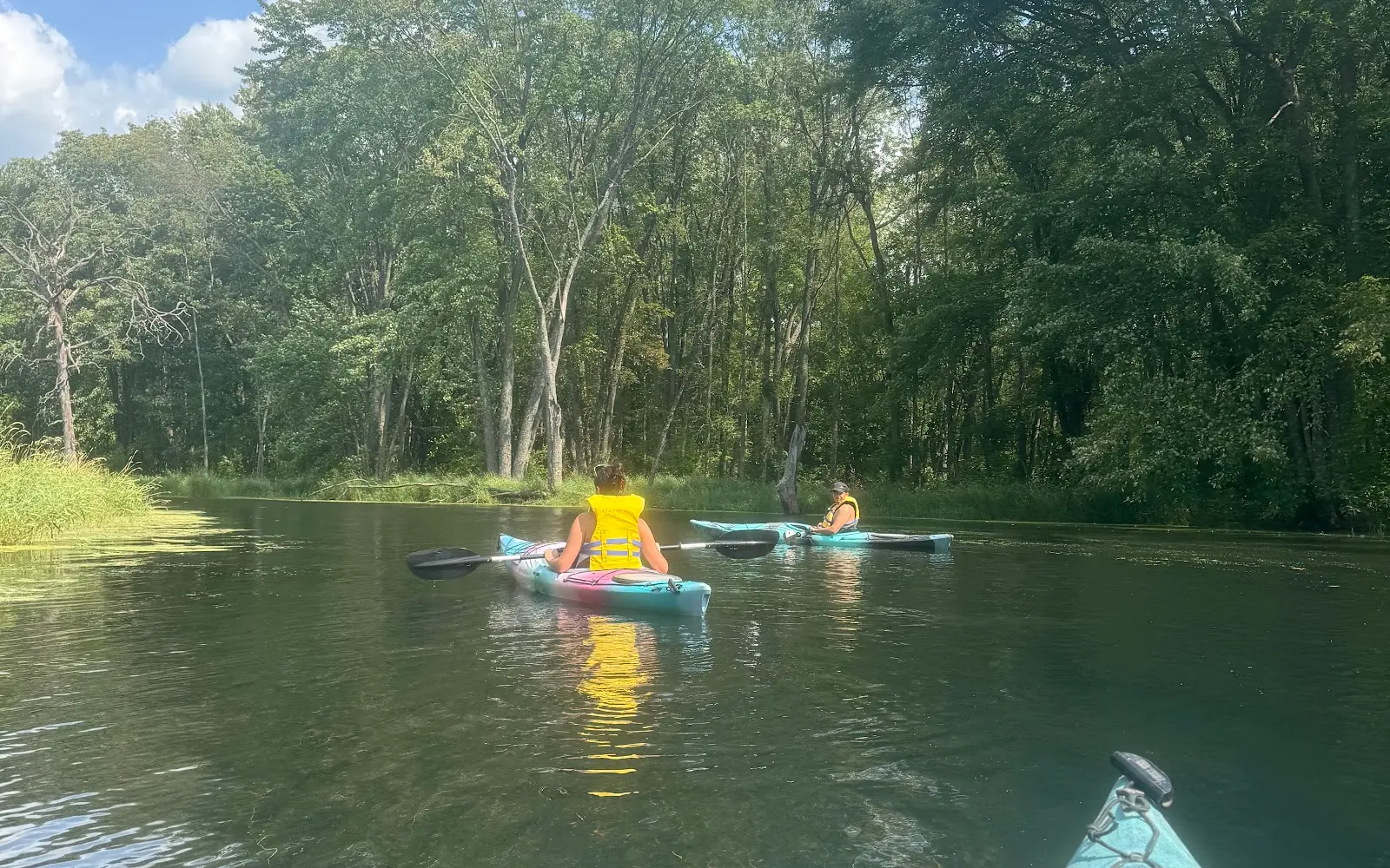 Free Spirit Tours