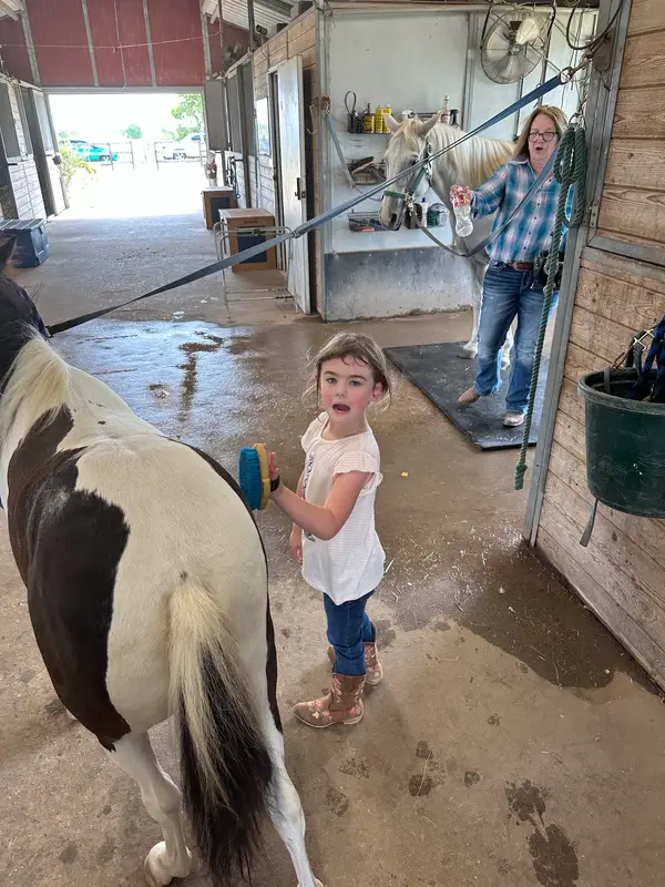 Freeman Ranch & Stables, photo 2