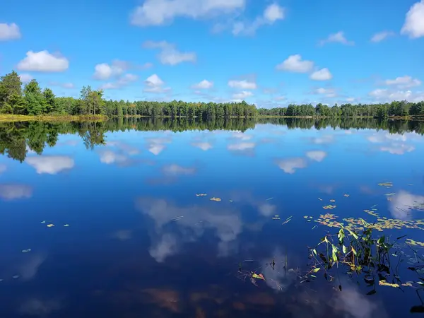 French River ATV Tours, photo 2