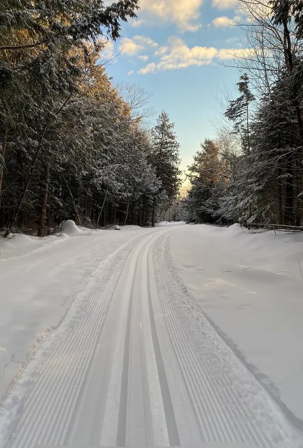 Friends of A Fierce Chase Cross Country Ski Trails