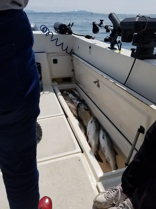 Frohlich's Fish Guiding, photo 2