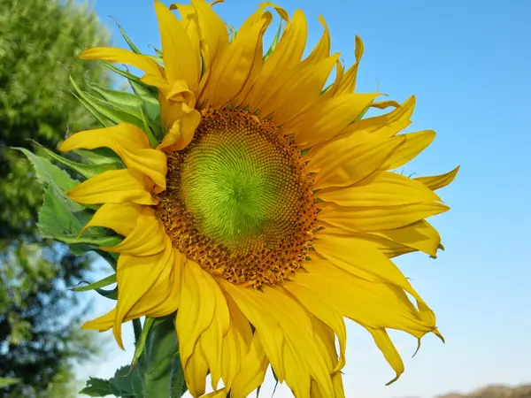 Frost Farm, Embudo, NM