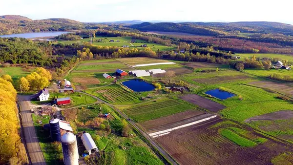 Full Belly Farm, Hinesburg, VT