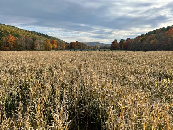 Gaines Farm, Guilford, VT