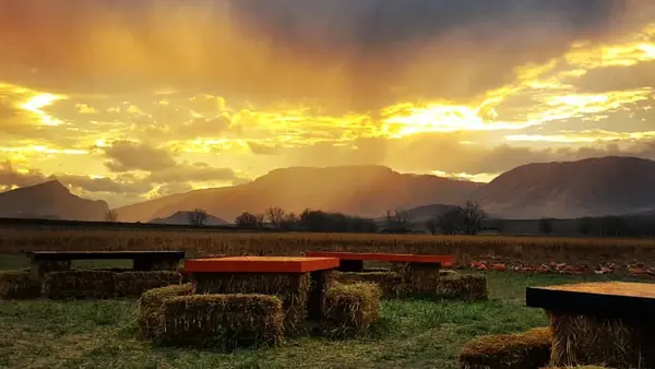 Gallagher's Corn Maze and Pumpkin Patch, Clark, WY