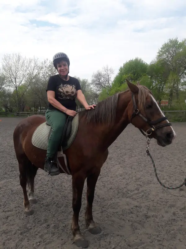 GallopNYC: Sunrise Stables
