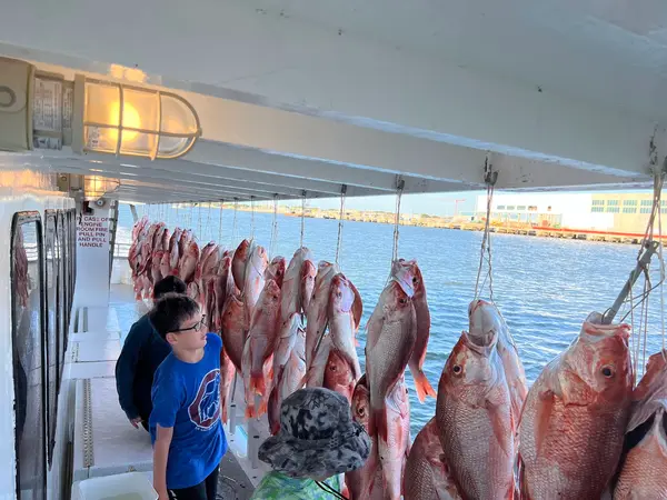 Galveston Party Boats