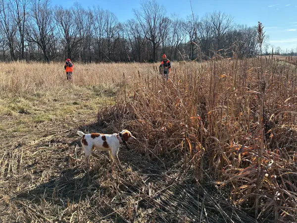 Game Creek Hunting Farms