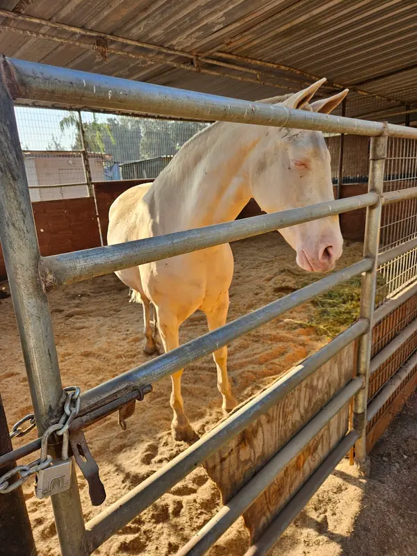Genesis Ranch, photo 1