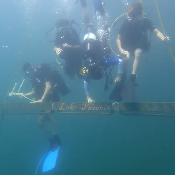 Get Down Scuba